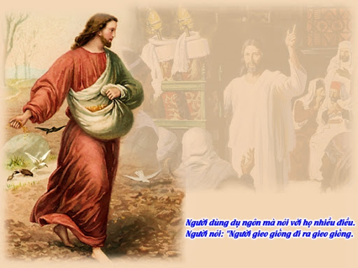 HẠT GIỐNG (28/01/2026 - THỨ TƯ TUẦN 3 THƯỜNG NIÊN)